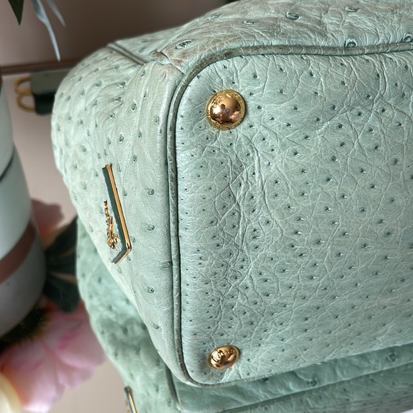 PRADA Ostrich BN1786 Struzzo Tote Bag - Picture 12 of 15